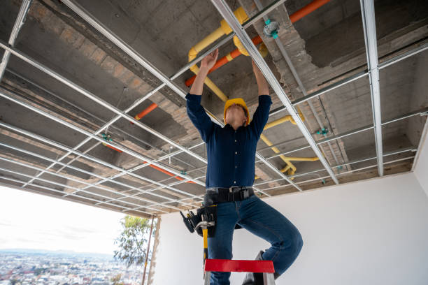Best Clogged Drain Plumber  in Independence, LA